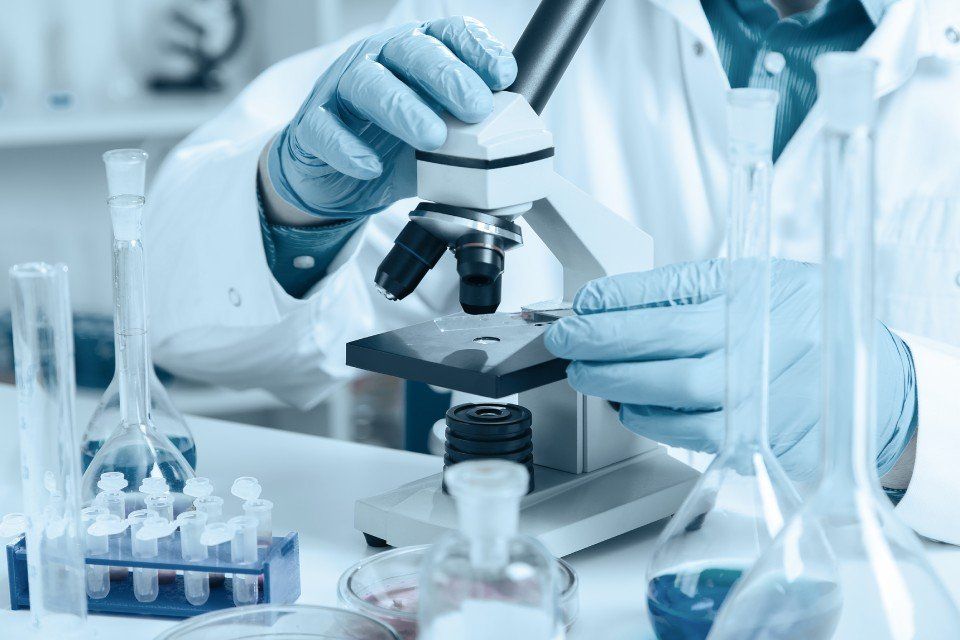 Microscopio
