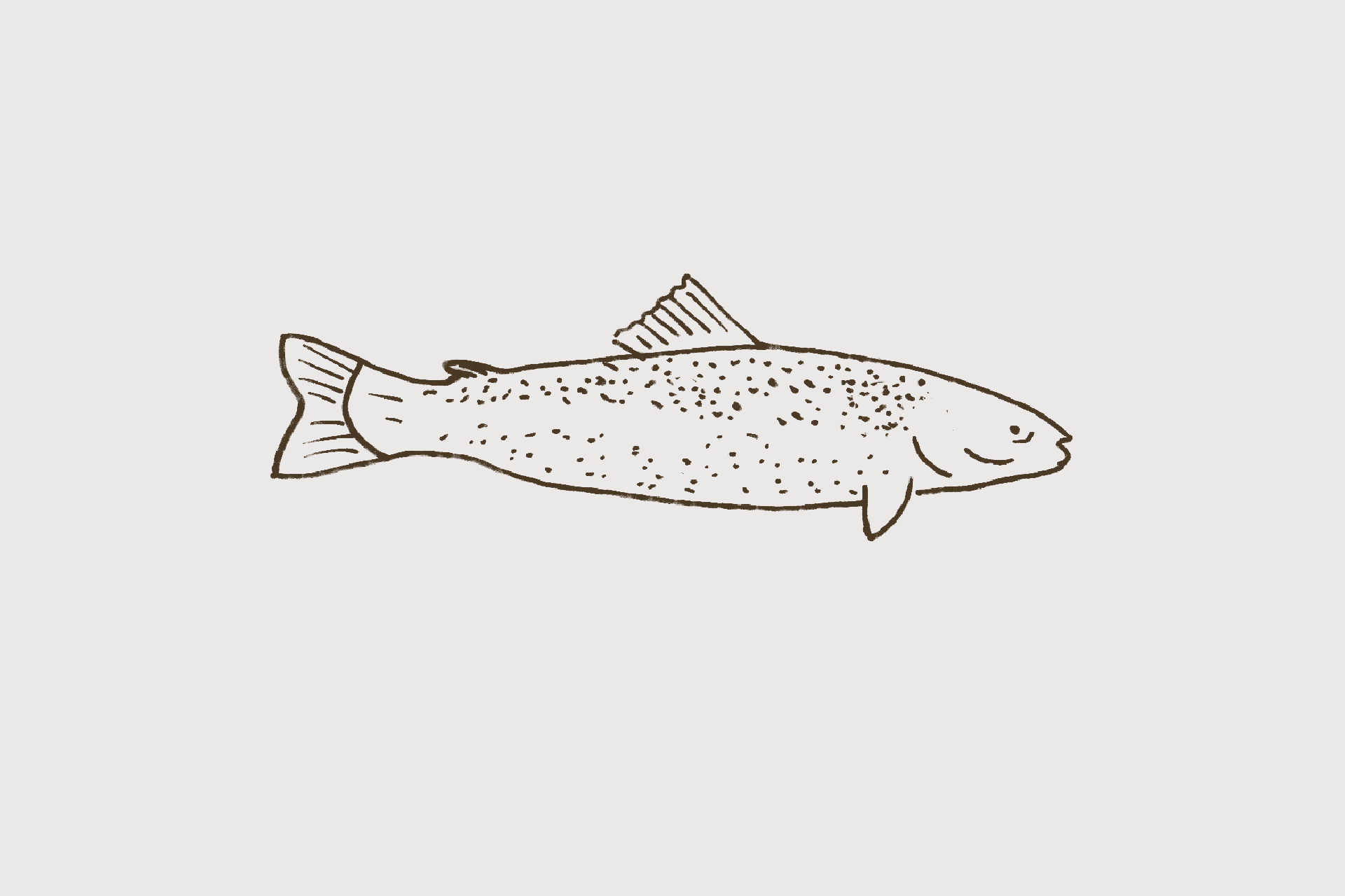 trota iridea salmonata+ allevamento+prodotti certificati + no ogm