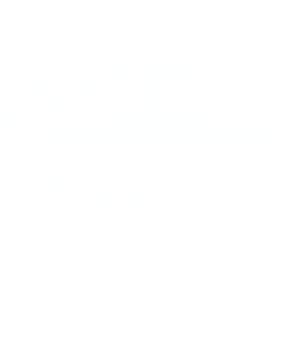 VLM Logo