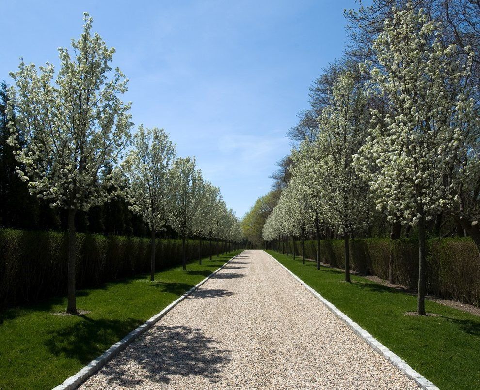 limestone driveway