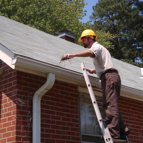 Picture of Lux Brush Professional Cleaning Gutters