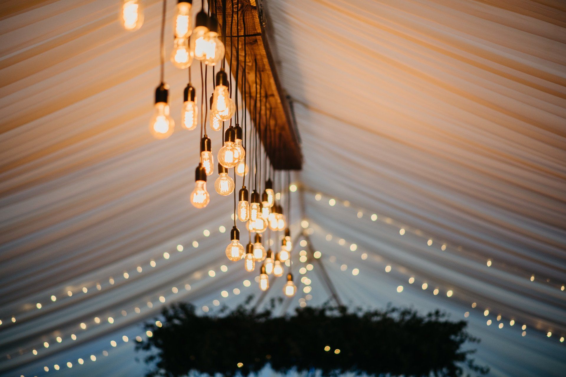 A bunch of light bulbs are hanging from the ceiling of a tent.