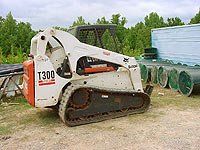 bobcat