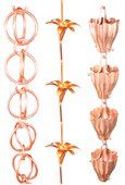 image-362072-copper20rain_chains.jpg?1447116993990
