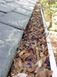 image-362074-Gutter20Cleaning203.jpg?1447117787416