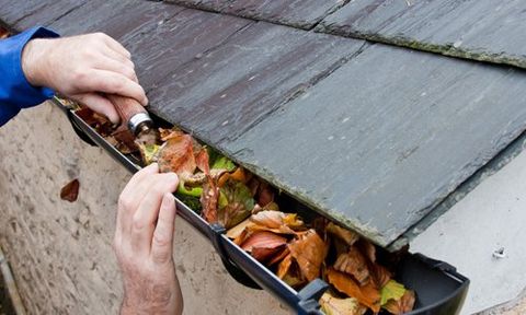 Gutter cleaning