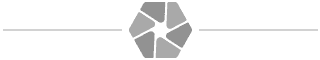 company icon