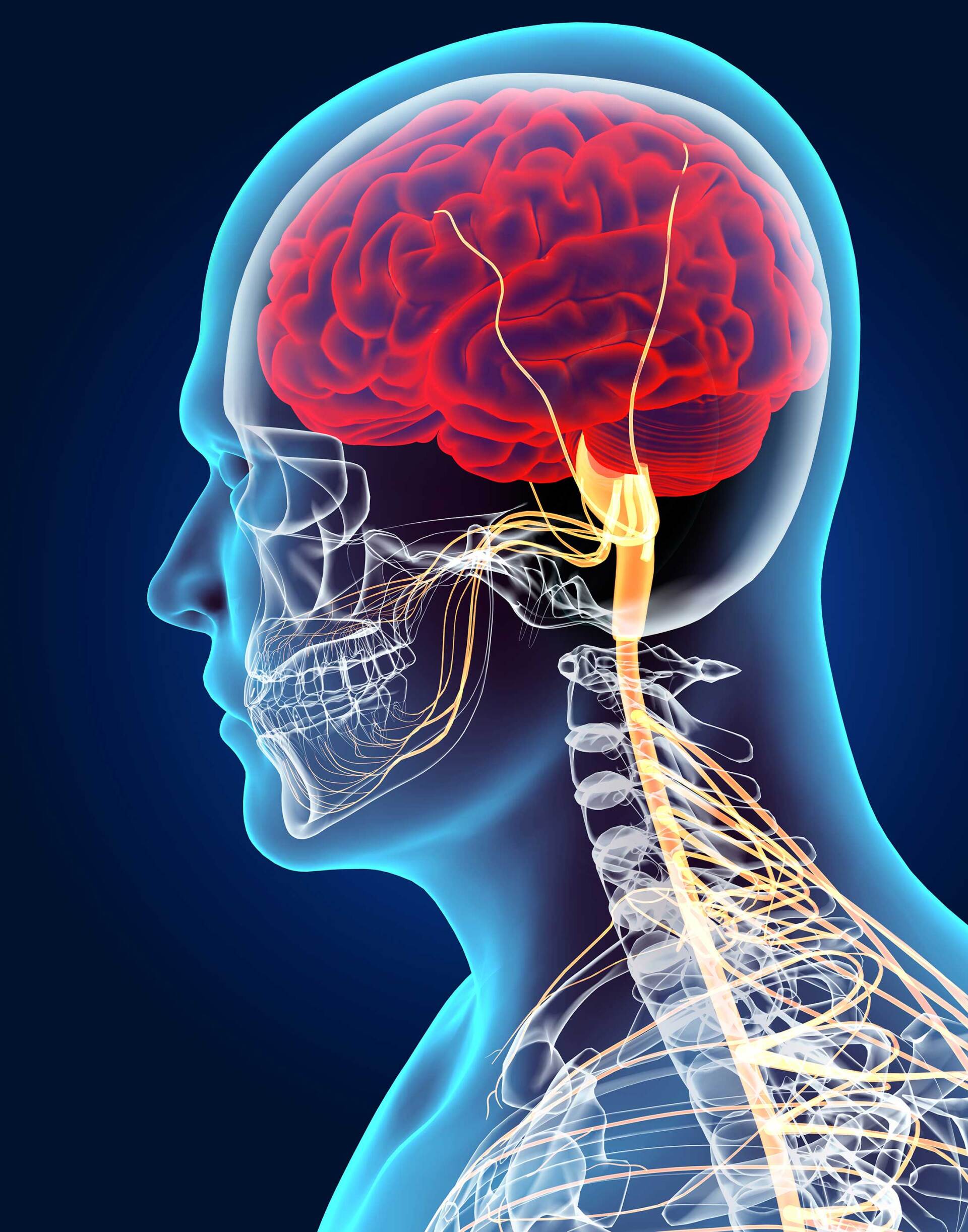 neurologia