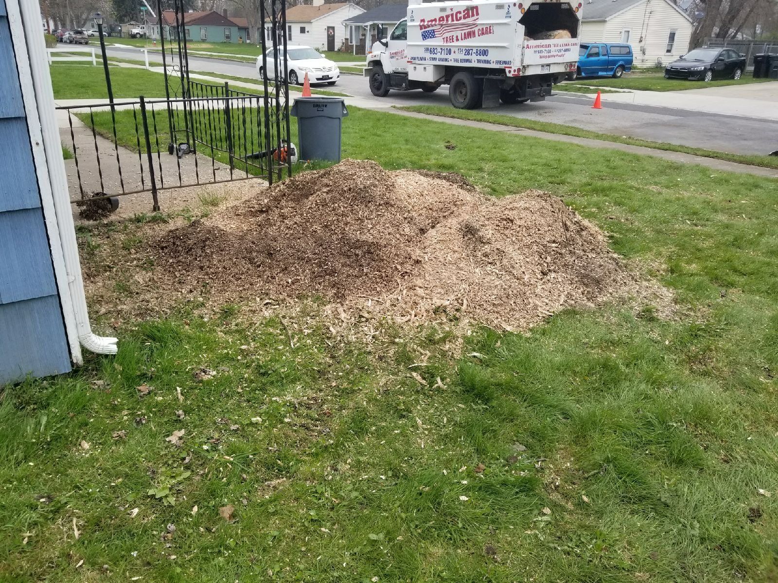During Stump — Niles, MI — American Tree Care