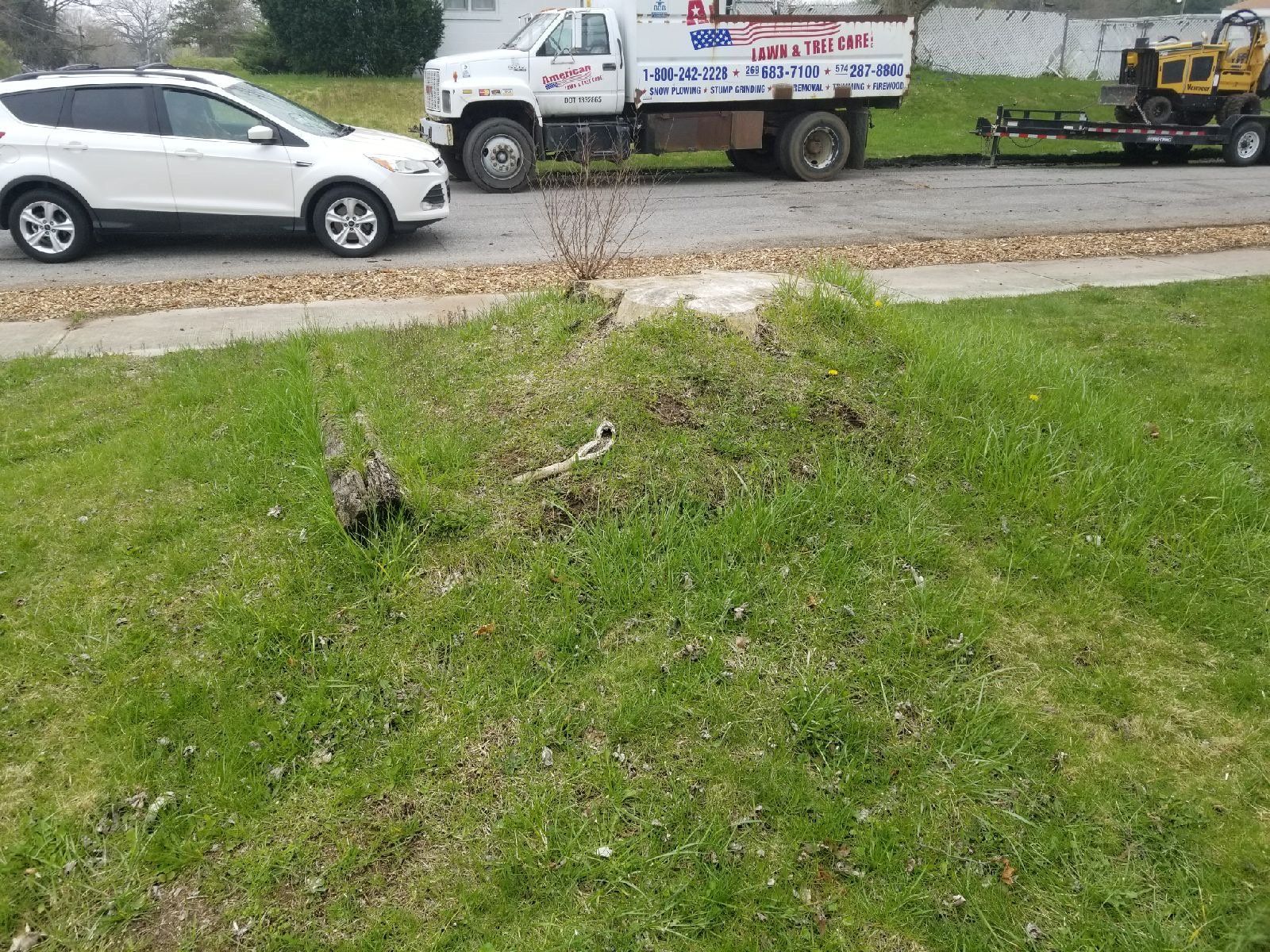 Stump — Niles, MI — American Tree Care