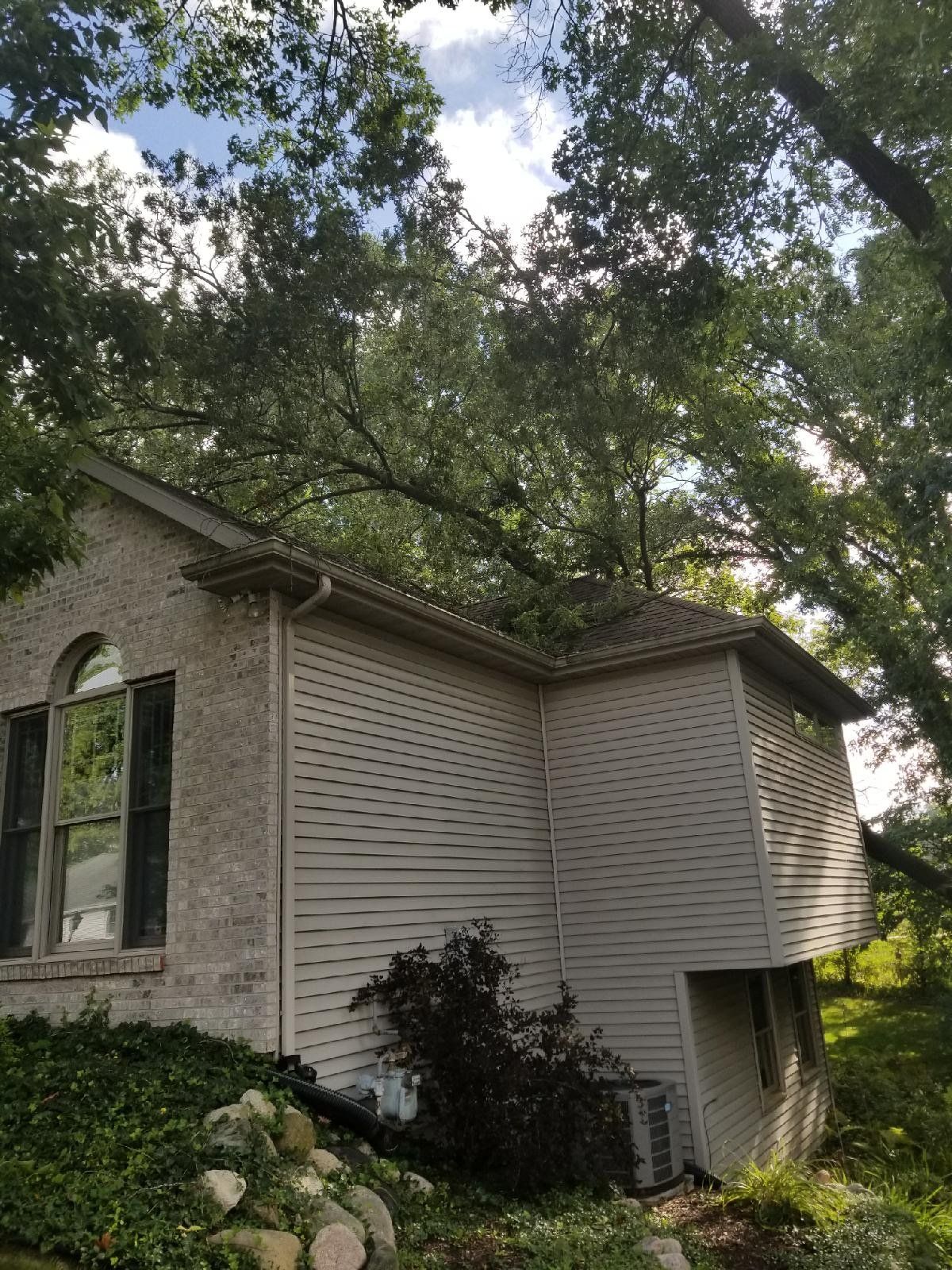 Mishawaka Storm Damage Before — Niles, MI — American Tree Care
