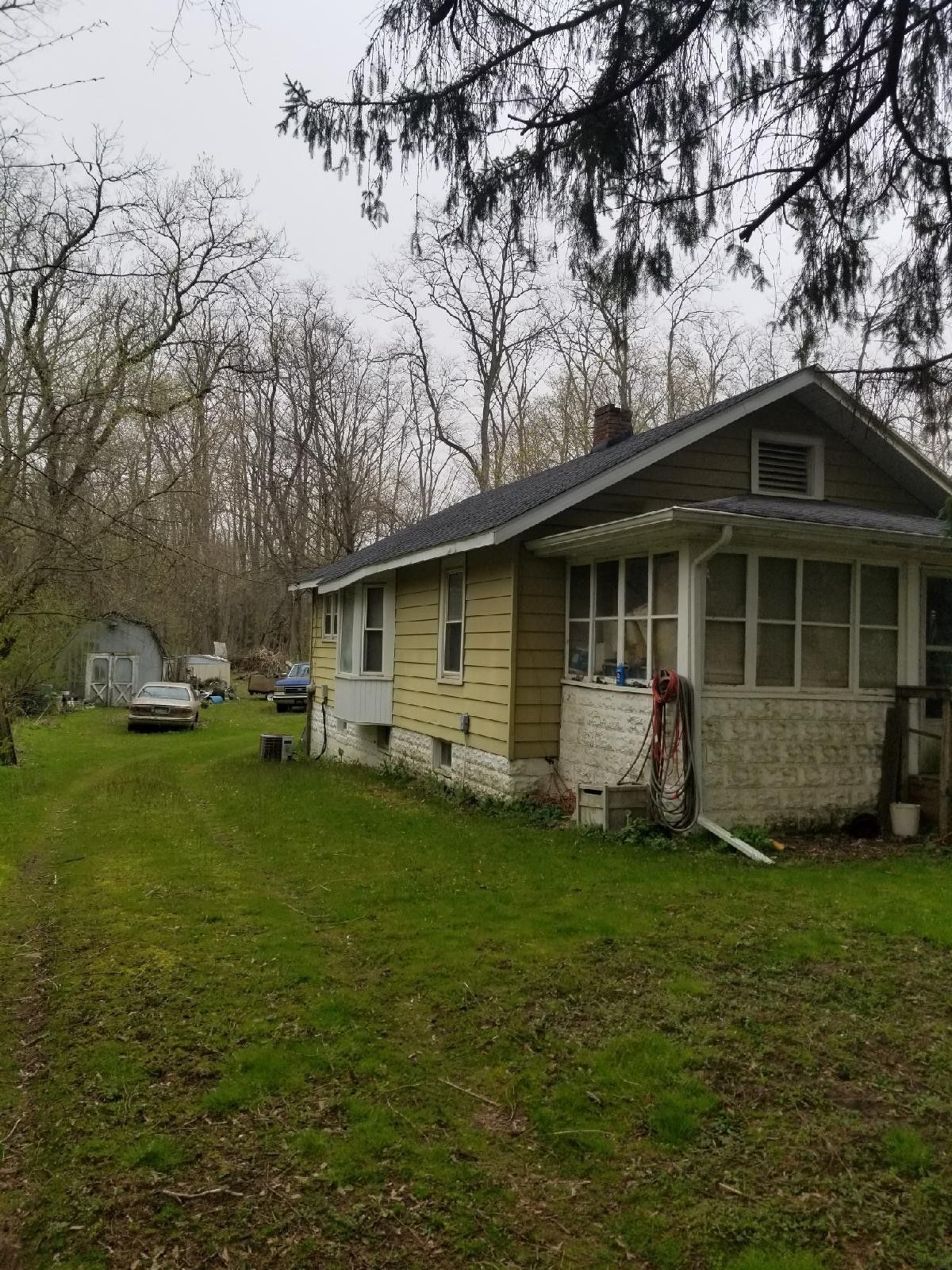 Storm Damage After — Niles, MI — American Tree Care
