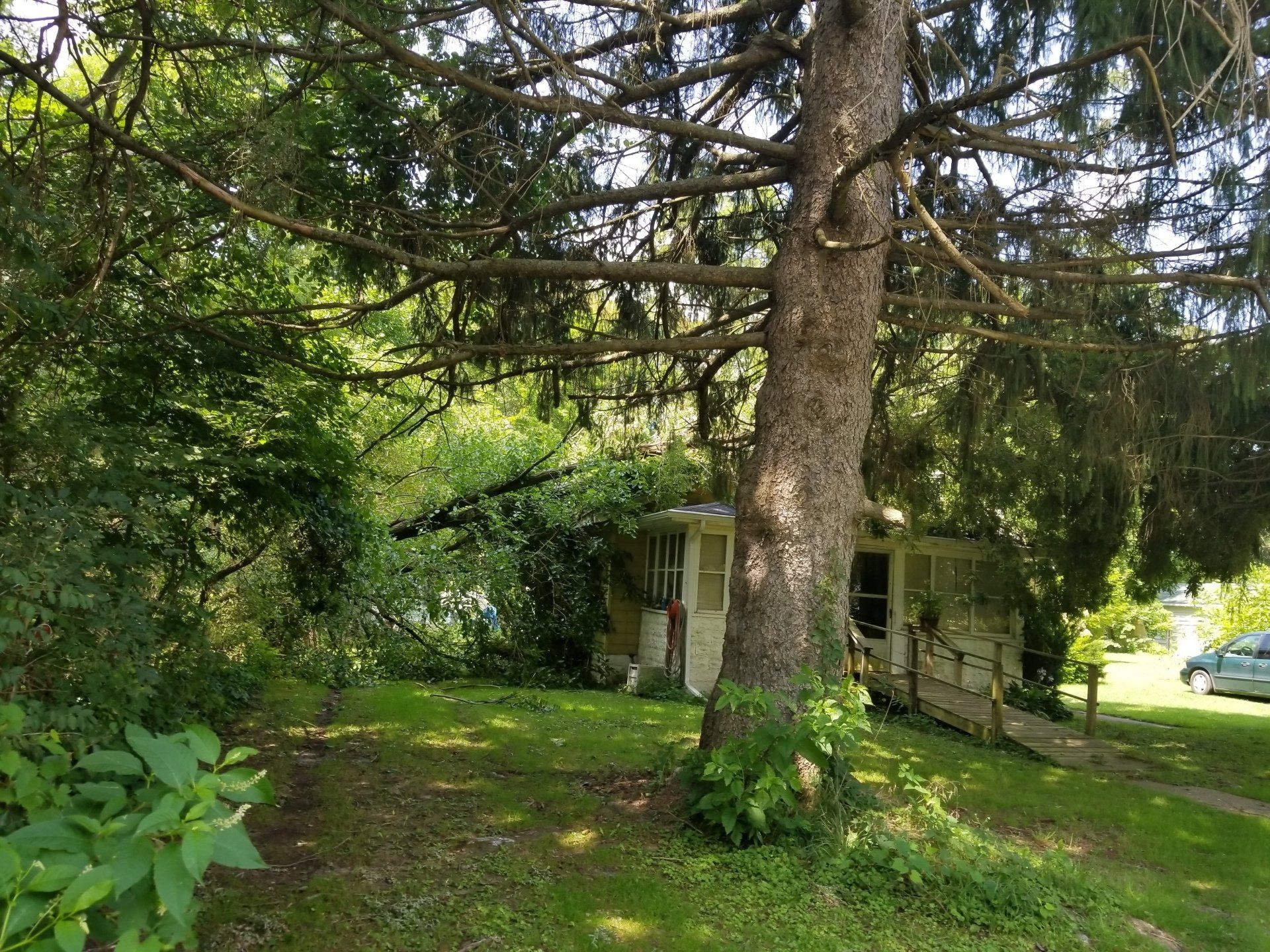 Storm Damage Before — Niles, MI — American Tree Care