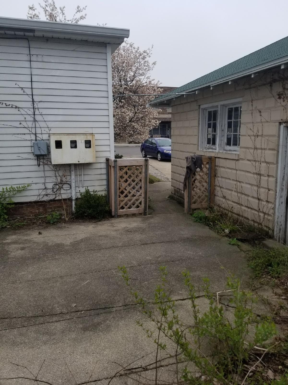 Storm Damage Law Firm After — Niles, MI — American Tree Care