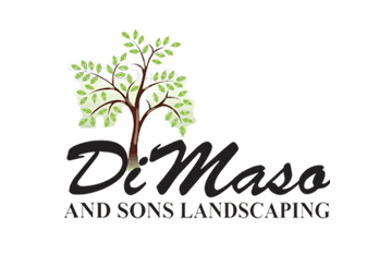 DiMaso & Sons Landscaping DiMaso & Sons Landscaping
