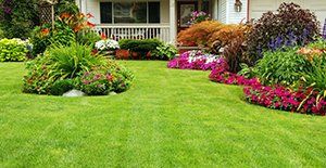 Landscape Maintenance — Landscape Design and Planting in Lombard, IL Landscape Maintenance — Landscape Design and Planting in Lombard, IL