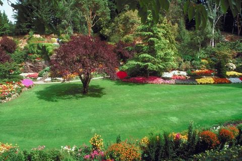 Erosion Control Seeding