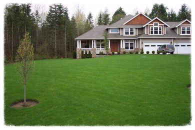 quality grass service