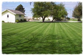 lawn seeding company