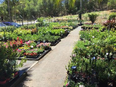 Gardener unloading plants — About Us in Ocean Shores, NSW Gardener unloading plants — About Us in Ocean Shores, NSW