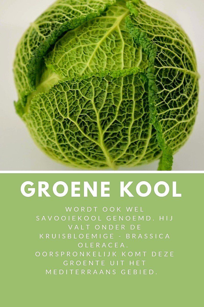 Close-up van een groene savooiekool met daaronder Nederlandse tekst.