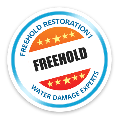 Freehold