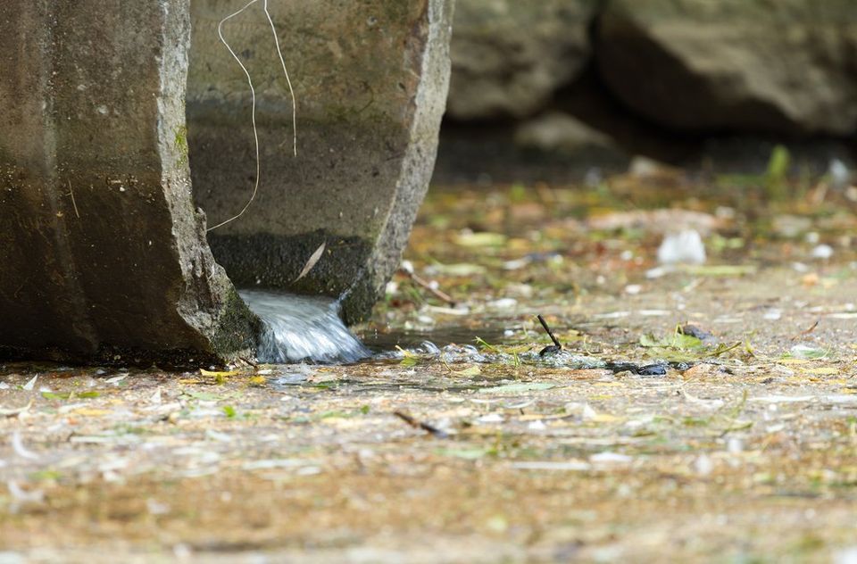 Consider professional services over DIY for sewage cleanup. - Restoration 1 of Freehold