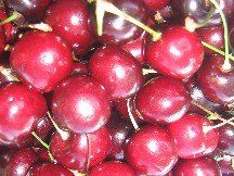 fresh cherries