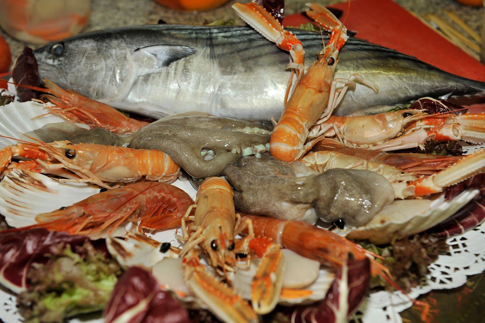 Pesce fresco