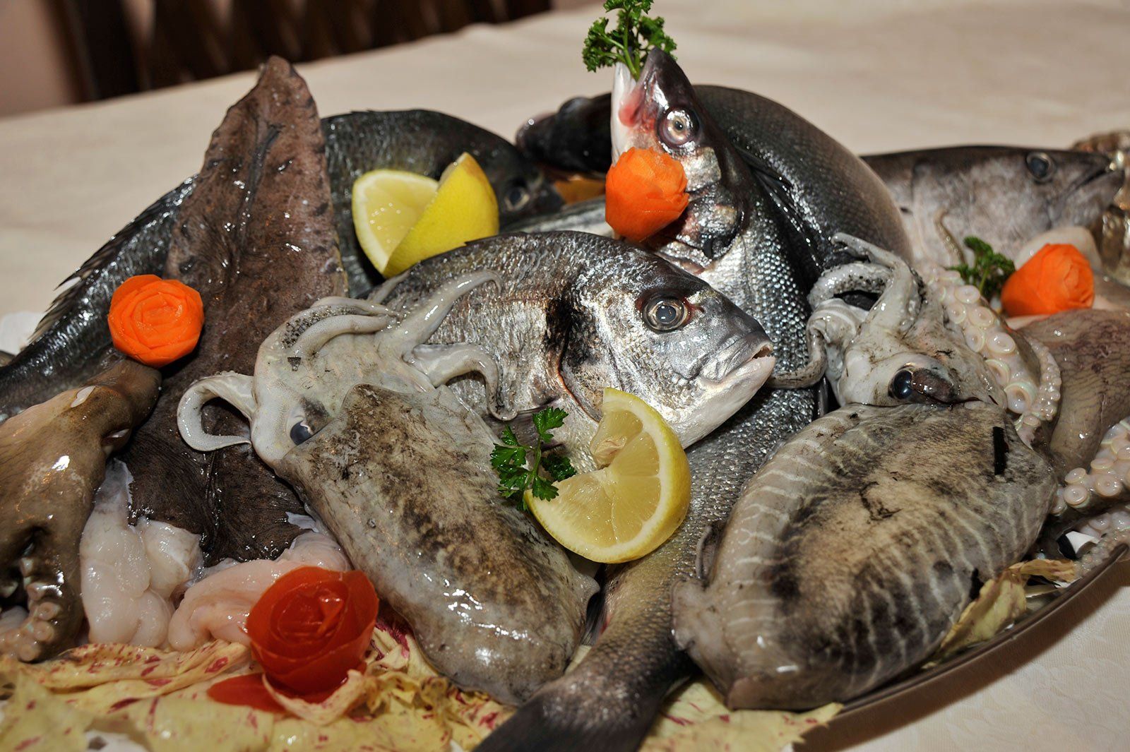 Pesce appena pescato