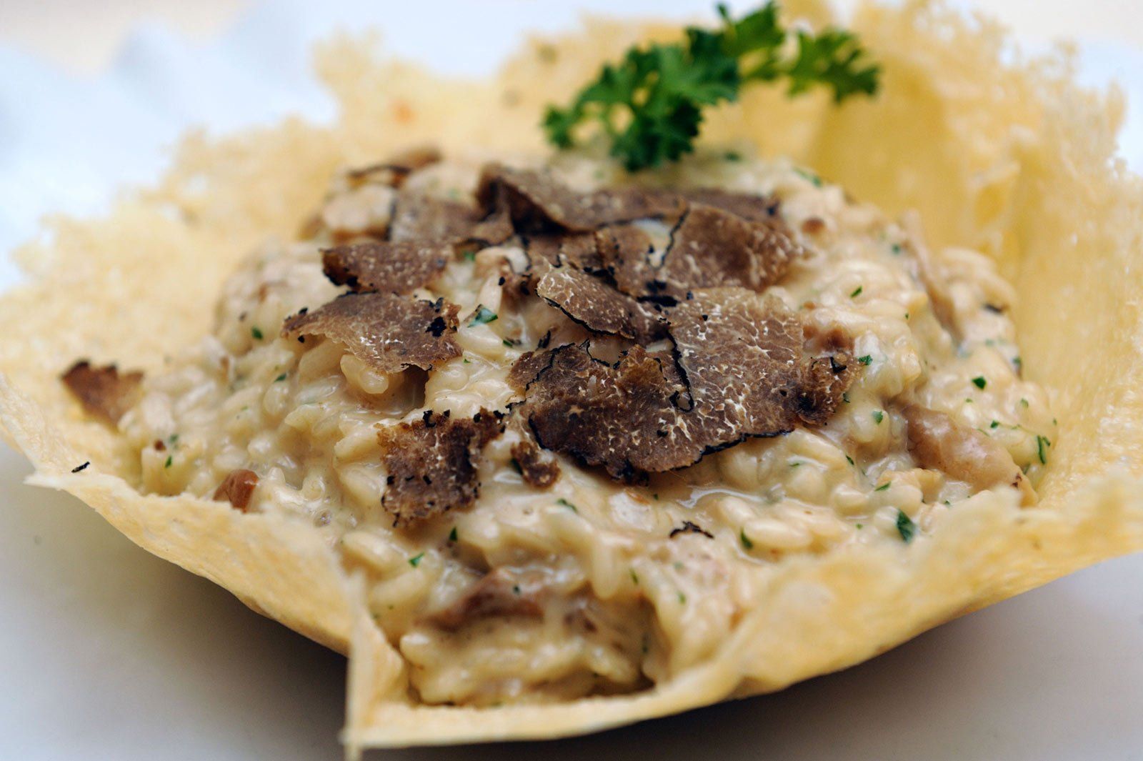 Risotto al tartufo in crosta di parmigiano
