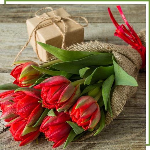 fiori freschi