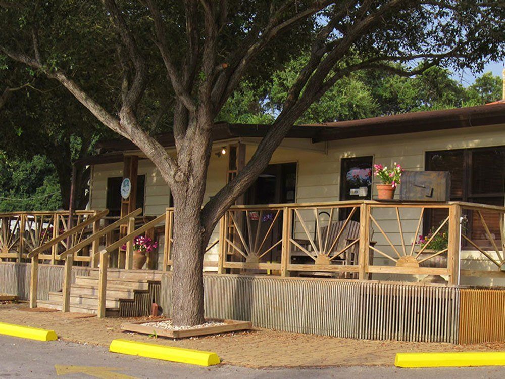 A house with a large tree in front of it
