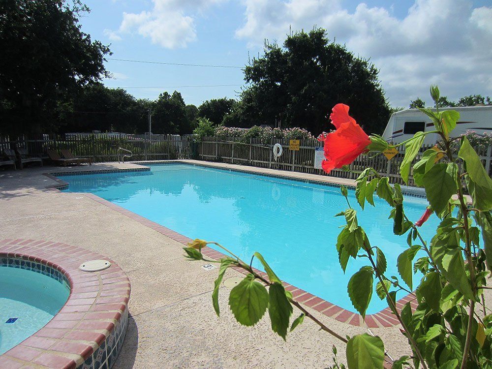 A swimming pool with a red flower in the foreground