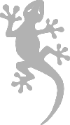 A gray silhouette of a lizard on a white background.
