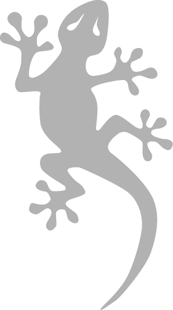 A silhouette of a lizard on a white background.