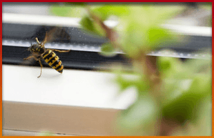 Pest control - Barnet - Universal Heat Solutions - Mouse Mouse