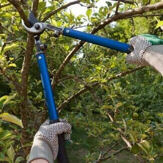Pruning Sheers — Fencing in San Leandro, CA