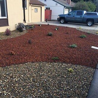 Grooming — Front Yard in San Leandro, CA