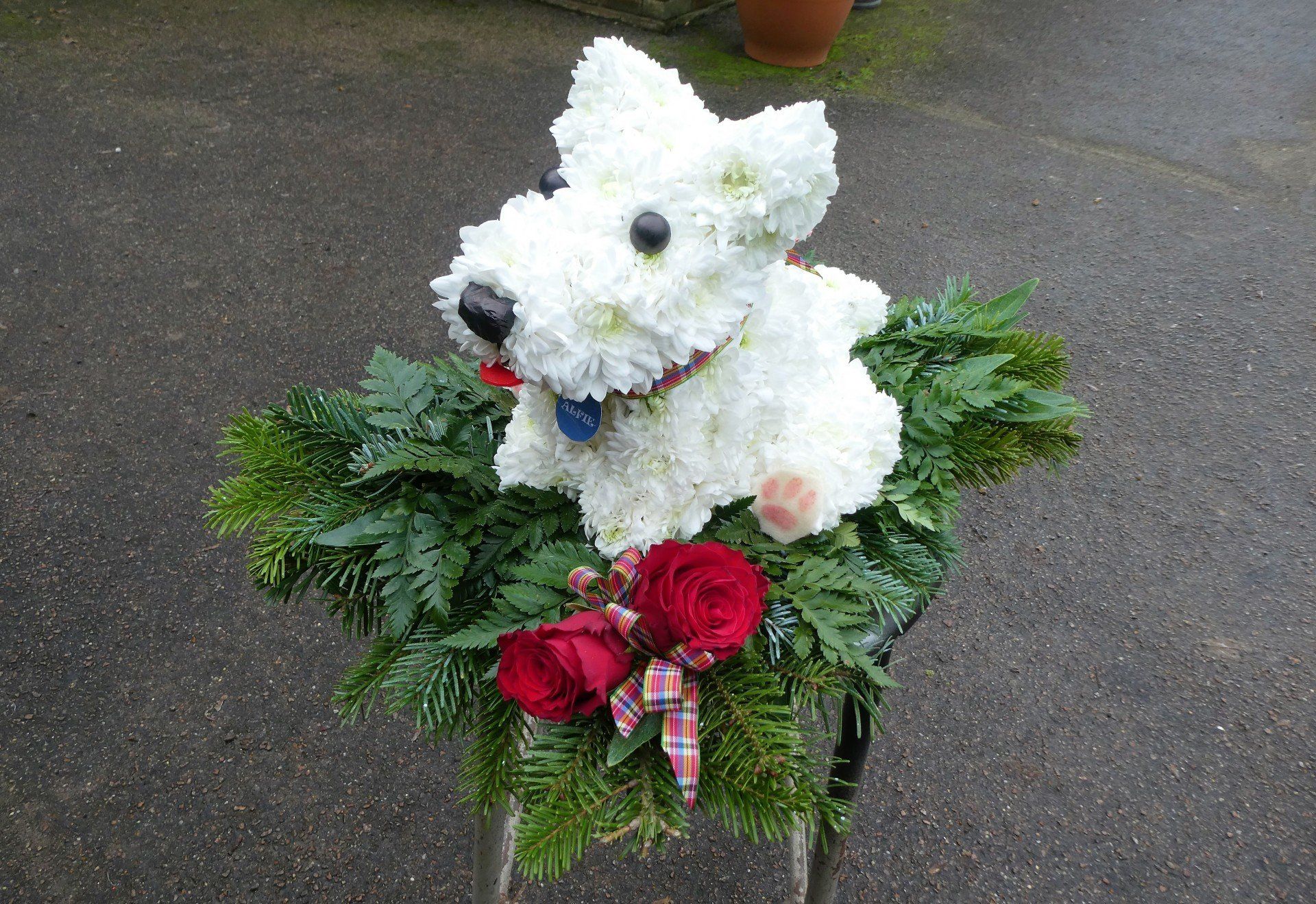 Special Tributes