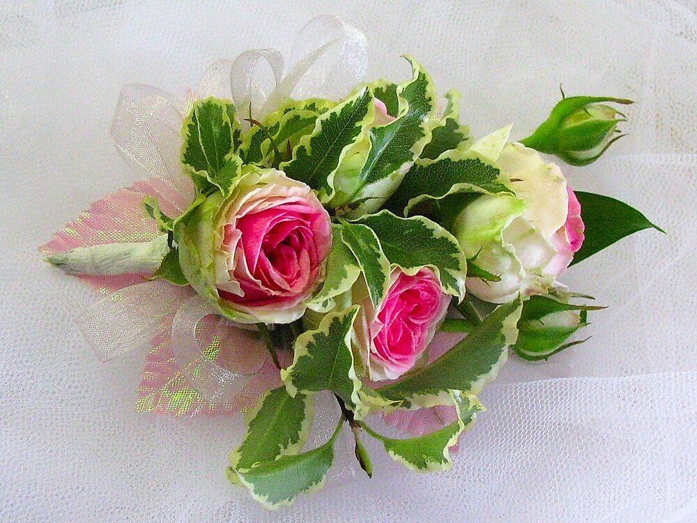 Elisabeth Bemment Floral Design -Button Holes & Corsages