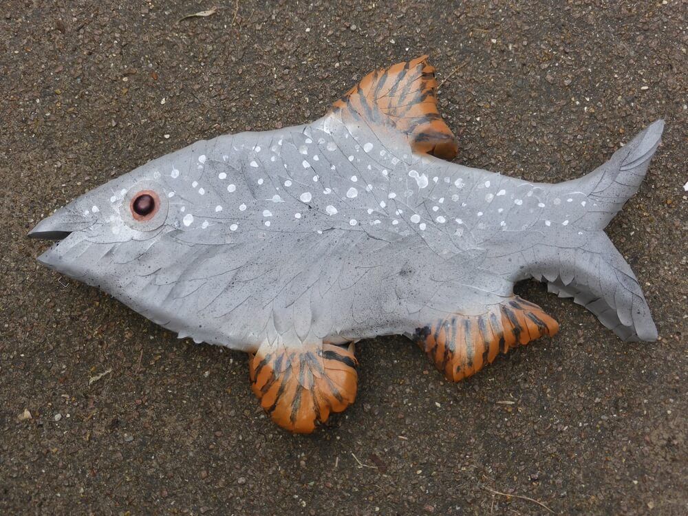 15. Hand cut 2’6” RUDD Fish