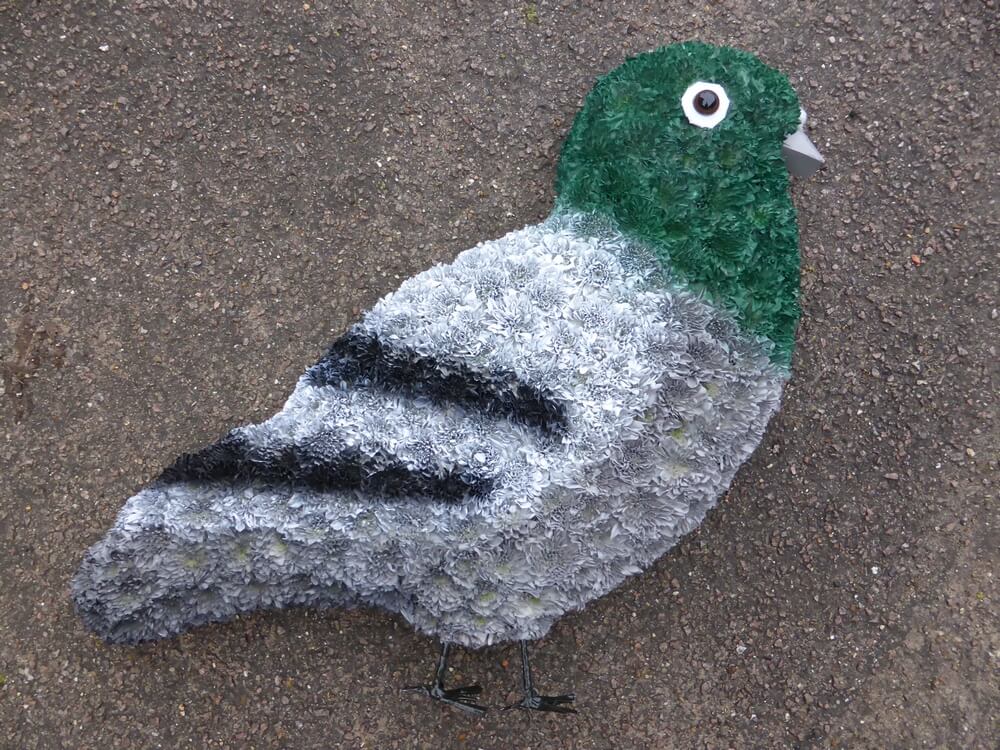 21. Racing Pigeon 23” x 18”