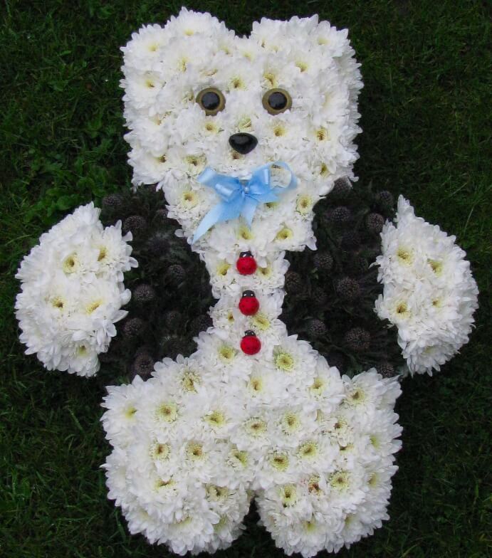 40. Boy Teddy decorated with waistcoat and Ladybird buttons