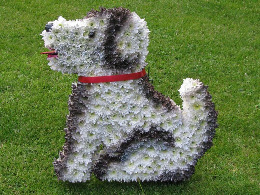 Special Tributes