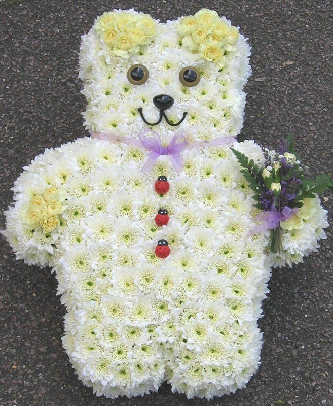 79.  Girl Teddy