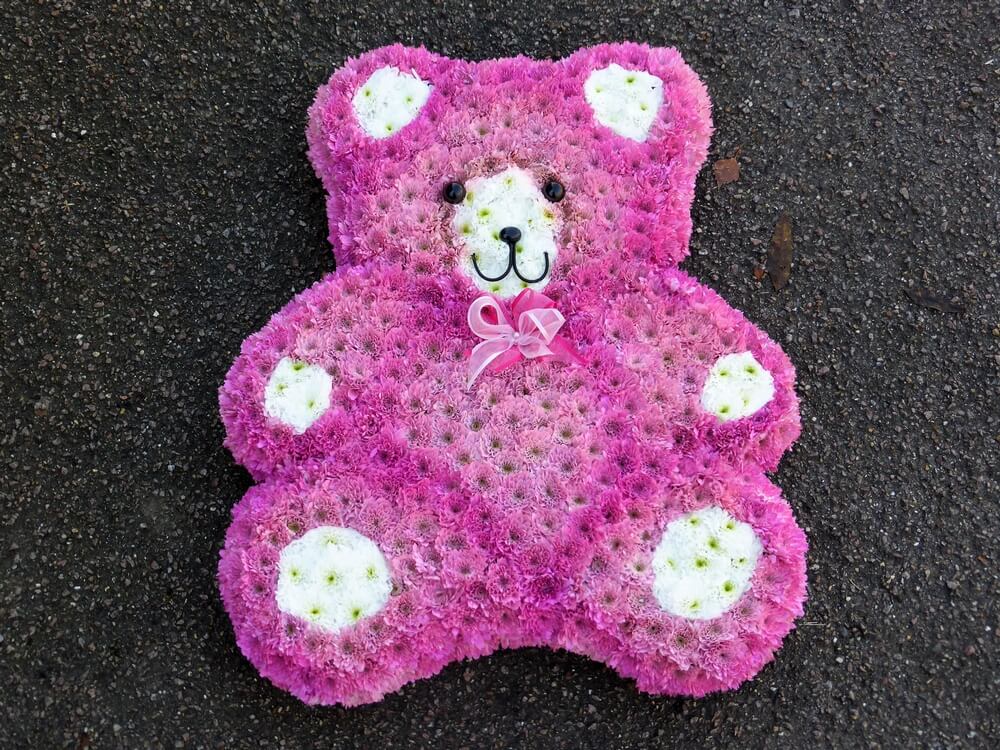 9. Beautiful pink Teddy