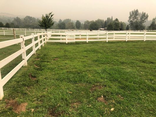 White fenced grassy field with trees and a hazy sky in the background