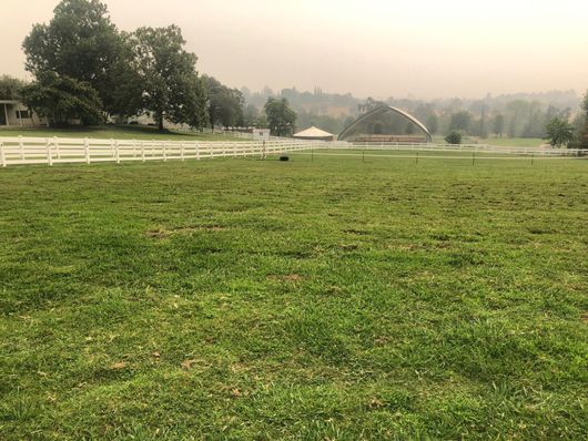 Green pasture with white fence, trees, and a hazy countryside sky