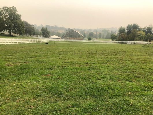 Grassy field with white fences, trees, and a distant water fountain under a hazy sky